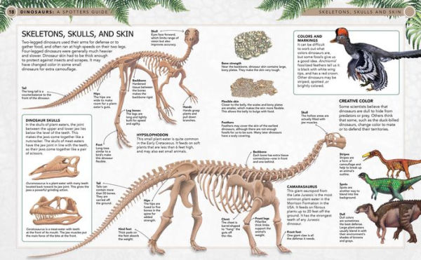 Dinosaurs: A Spotter's Guide