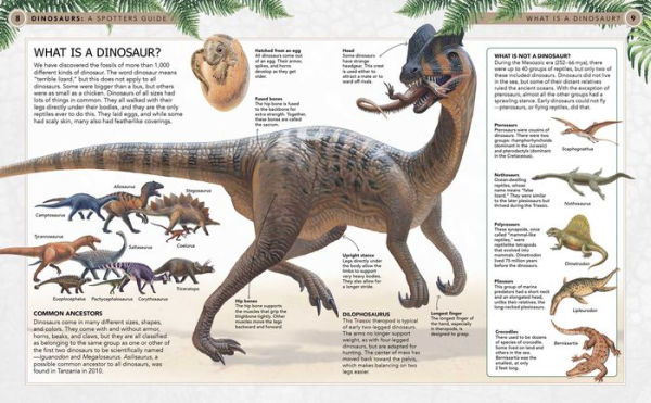 Dinosaurs: A Spotter's Guide