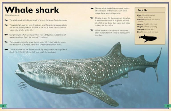 The Magnificent Book of Sharks