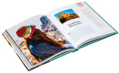 Alternative view 12 of Knitting the National Parks: 63 Easy-to-Follow Designs for Beautiful Beanies Inspired by the US National Parks (Knitting Books and Patterns; Knitting Beanies)