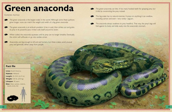 The Magnificent Book of Dangerous Animals by Tom Jackson, Val Walerczuk