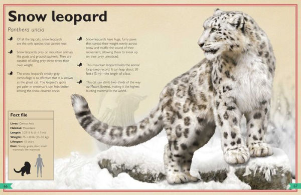 The Magnificent Book of Dangerous Animals by Tom Jackson, Val Walerczuk