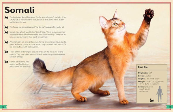 The Magnificent Book of Cats: (Kids Books about Cats, Middle Grade Cat Books,  Books about Animals), Book hardback