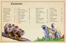 Alternative view 14 of The Magnificent Book of Monkeys and Apes