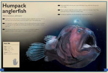 Alternative view 3 of The Magnificent Book of Creatures of the Abyss: (Ocean Animal Books for Kids, Natural History Books for Kids)
