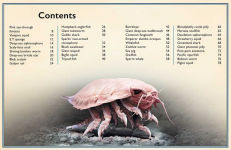 Alternative view 6 of The Magnificent Book of Creatures of the Abyss: (Ocean Animal Books for Kids, Natural History Books for Kids)