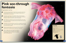 Alternative view 8 of The Magnificent Book of Creatures of the Abyss: (Ocean Animal Books for Kids, Natural History Books for Kids)