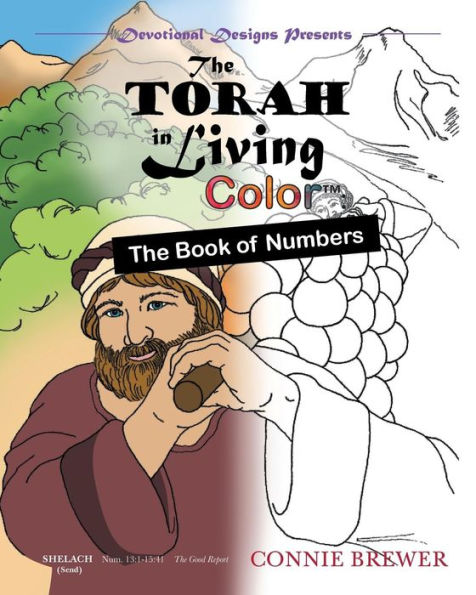 The Torah In Living Color: The Book of Numbers