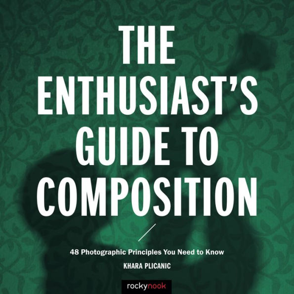 The Enthusiast's Guide to Composition: 48 Photographic Principles You Need Know