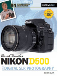 Title: David Busch's Nikon D500 Guide to Digital SLR Photography, Author: David D. Busch