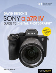 Bestseller books pdf download David Busch's Sony Alpha a7R IV Guide to Digital Photography