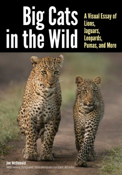 Big Cats The Wild: A Visual Essay of Lions, Jaguars, Leopards, Pumas, and More