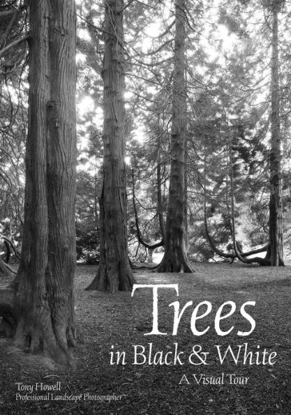 Trees Black & White: A Visual Tour