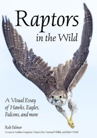 Title: Raptors in the Wild: A Visual Essay of Hawks, Eagles, Falcons and More, Author: Rob Palmer