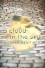 A Cloud in the Sky: Life's Greatest Lessons and Regrets