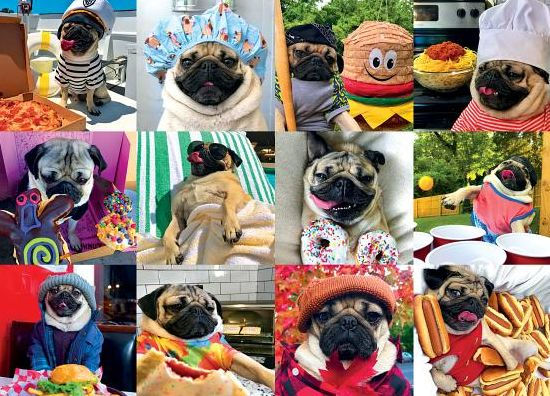 Doug the Pug Pug Life 1000-Piece Puzzle