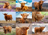 Title: Highland Cows 1000-Piece Puzzle, Author: Willow Creek Press