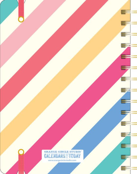 2019 Rainbow Stripes Deluxe Compact Flexi Planner