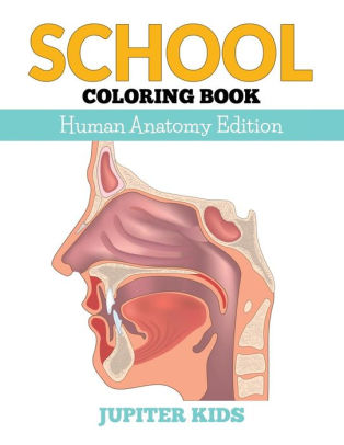 Download School Coloring Book Human Anatomy Edition By Jupiter Kids Paperback Barnes Noble