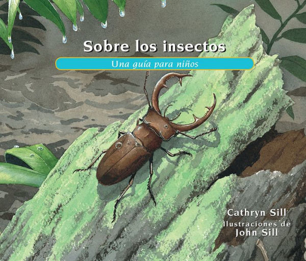 Sobre los insectos: Una guía para niños