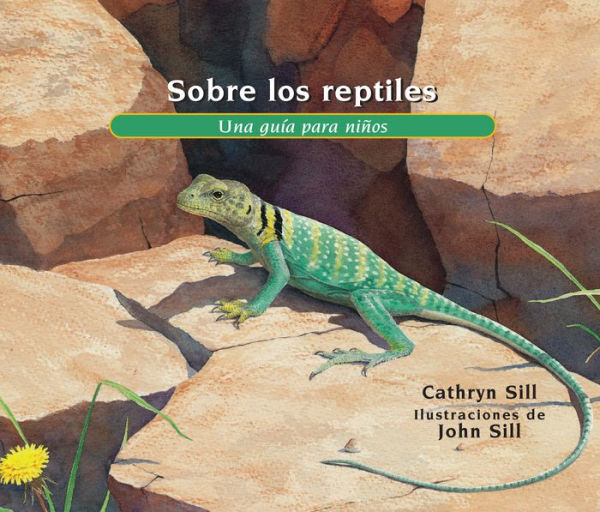 Libro para colorear de dinosaurios para niños : Divertido y gran libro para  colorear de dinosaurios para niños, niñas, niños pequeños y preescolares  (Paperback) 