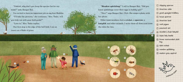 Bioblitz!: Counting Critters