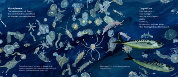 Galápagos: Islands of Change