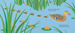 Alternative view 2 of Line Up!: Animals in Remarkable Rows