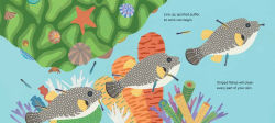 Alternative view 4 of Line Up!: Animals in Remarkable Rows