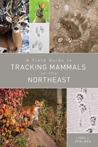 A Field Guide to Tracking Mammals the Northeast