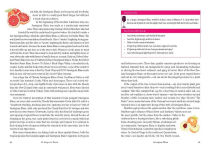 Alternative view 5 of Ten Grapes to Know: The Ten and Done Wine Guide