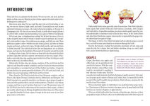 Alternative view 6 of Ten Grapes to Know: The Ten and Done Wine Guide