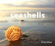 Title: Seashells, Author: Cindy Bilbao