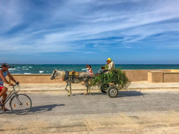 Cuba by Bike: 36 Rides Across the Caribbean's Largest Island