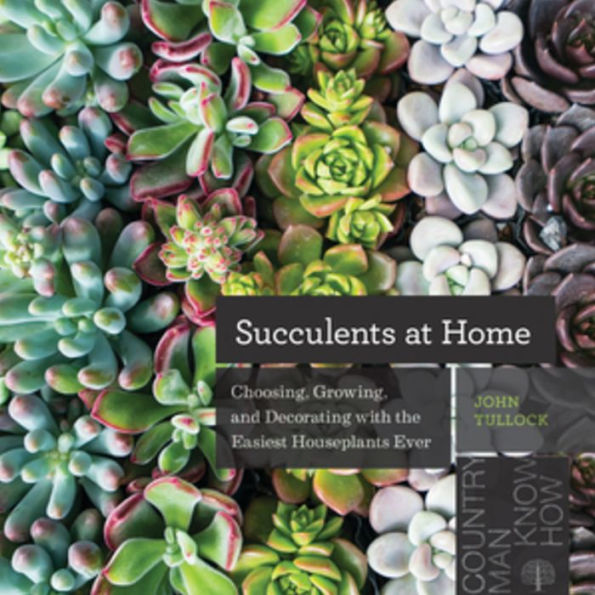 Succulents at Home: Choosing, Growing, and Decorating with the Easiest Houseplants Ever