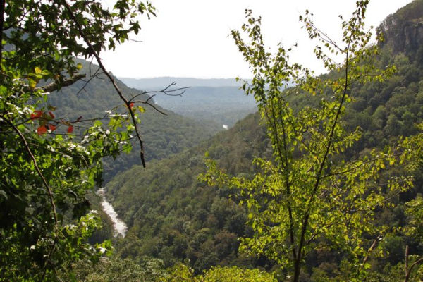 50 Hikes on Tennessee's Cumberland Plateau