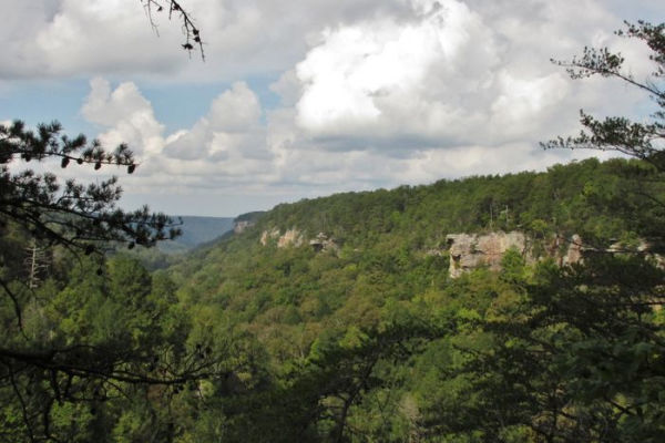 50 Hikes on Tennessee's Cumberland Plateau