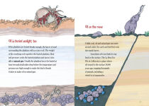 Alternative view 3 of Trees Are Made Of Gas: The Story of Carbon and Climate