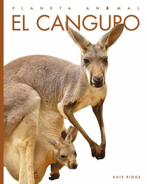 El canguro