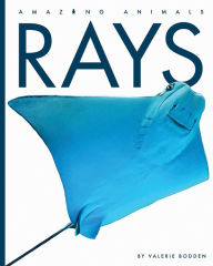 Title: Rays, Author: Valerie Bodden