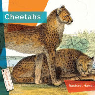 Title: Cheetahs, Author: Rachael Hanel