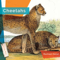 Title: Cheetahs, Author: Rachael Hanel