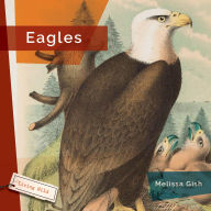 Free downloadable audiobooks for mp3 players Eagles 9798889896548 ePub