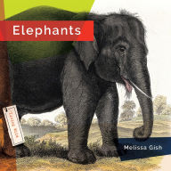 Download pdf from google books mac Elephants (English literature) 9798889896555 by Melissa Gish MOBI ePub PDB