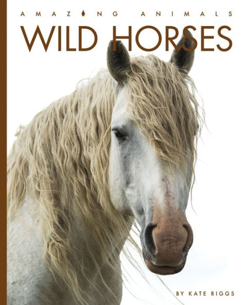 Wild Horses