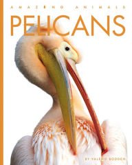 Title: Pelicans, Author: Valerie Bodden