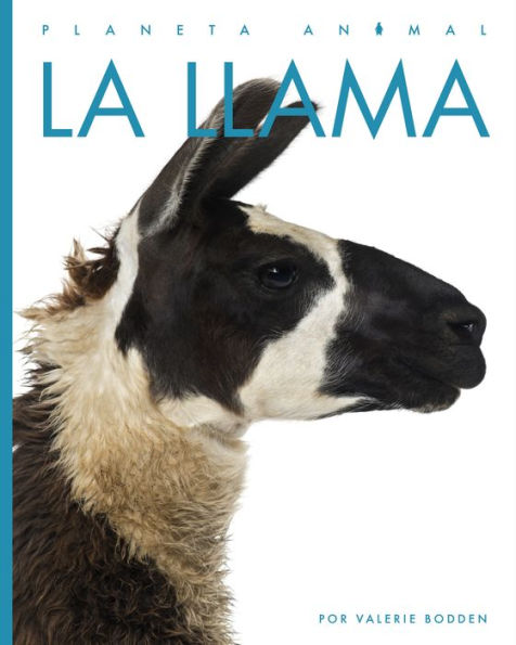 La llama