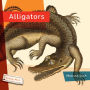 Alligators