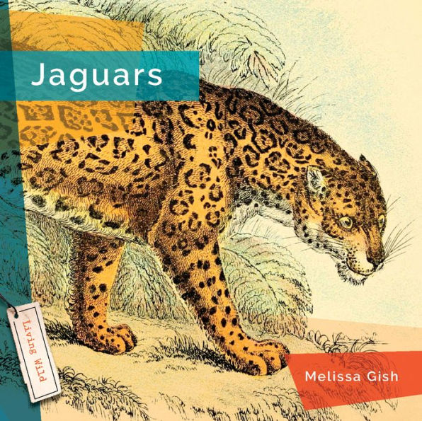 Jaguars