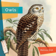 Title: Owls, Author: Melissa Gish